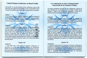 international driving license international driving license